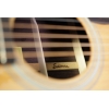 Eastman E20D-TC Acoustic Guitar
