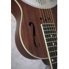 Ozark 3519M Mahogany Parlour Resonator