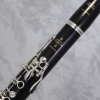 Buffet R13 Bb Clarinet Outfit