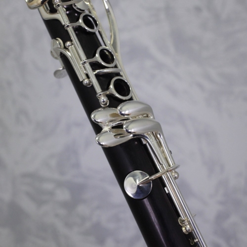 Buffet R13 Bb Clarinet Outfit