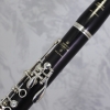 Buffet R13 Bb Clarinet Outfit