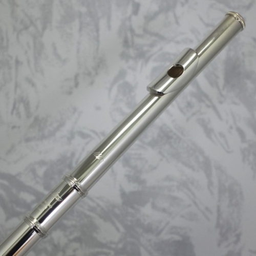 Altus 1107SE-S Flute Outfit