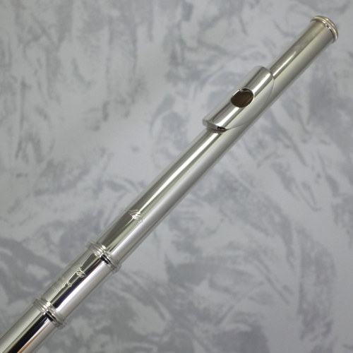 Altus 1107SE-S Flute Outfit