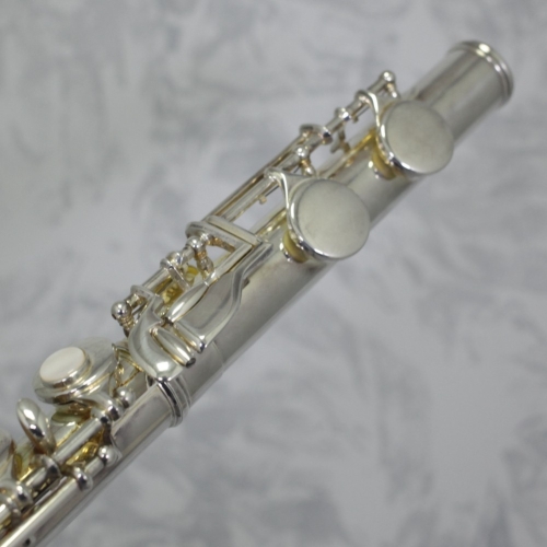 Trevor James 'Performer' Alto Flute Outfit