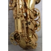 Elkhart 100AS Alto Sax Outfit