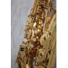 Elkhart 100AS Alto Sax Outfit