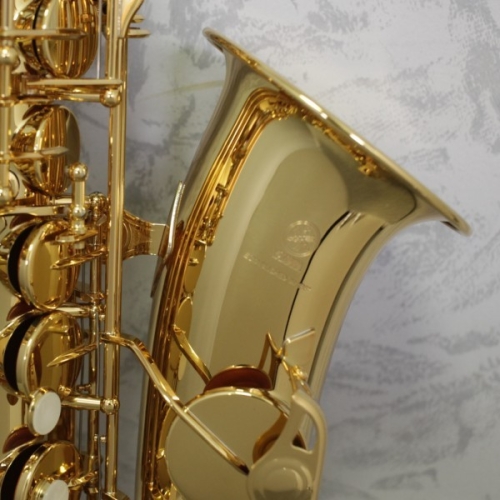 Yamaha YAS280 Alto Saxophone Outfit