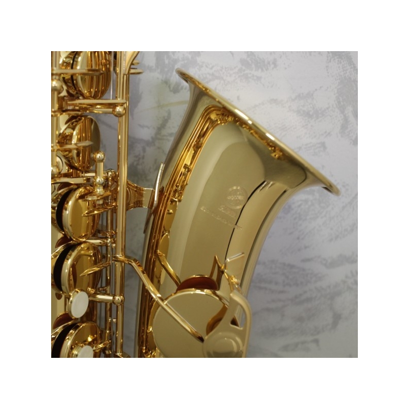 Yamaha YAS280 Alto Saxophone Outfit