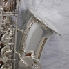 Trevor James SR Alto Saxophone - Silver Plated