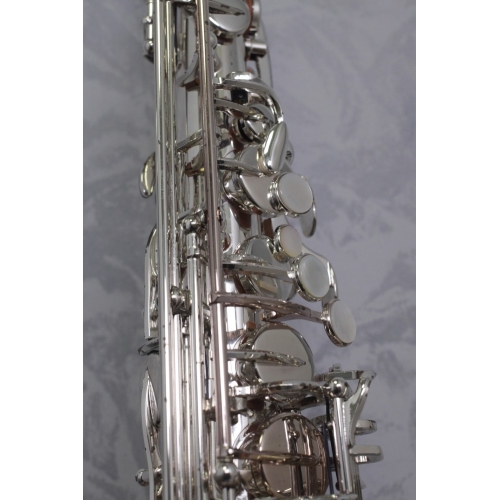 Trevor James SR Alto Saxophone - Silver Plated