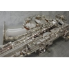 Trevor James SR Alto Saxophone - Silver Plated