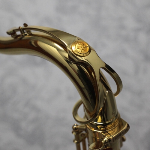 Yamaha YTS62 Tenor Sax Outfit