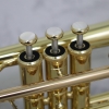 Yamaha YCR8335 Neo Bb Cornet Outfit