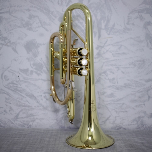 Yamaha YCR8335 Neo Bb Cornet Outfit