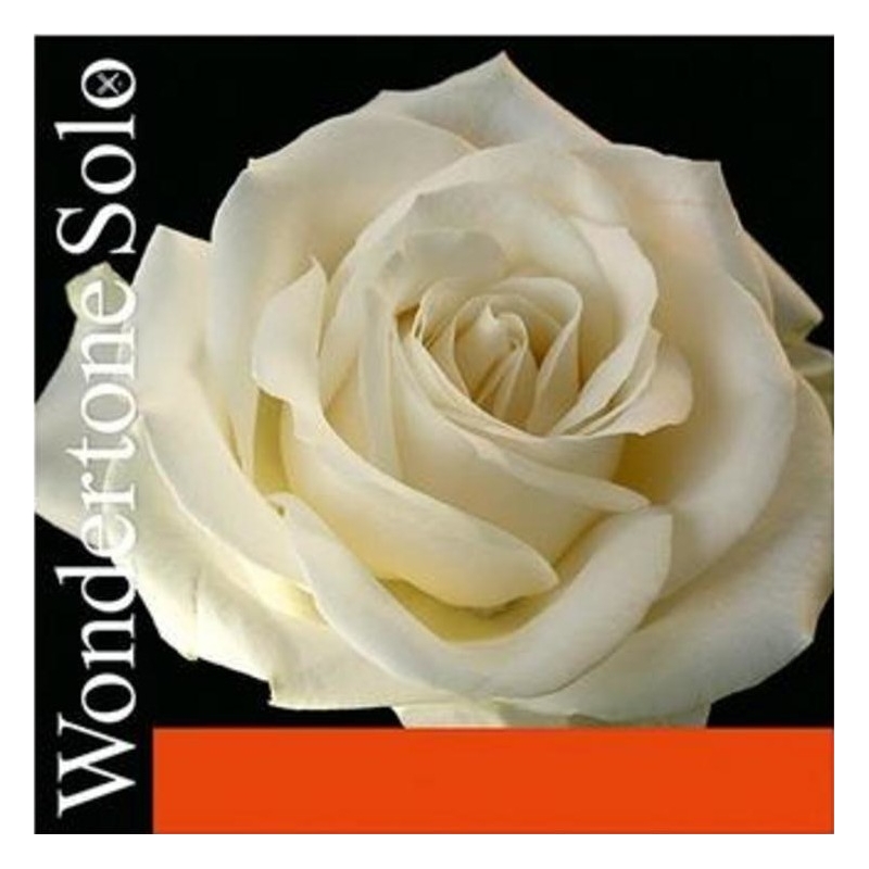 Pirastro Wondertone Solo Violin Strings