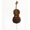 Stentor Student 1 Cello Outfit