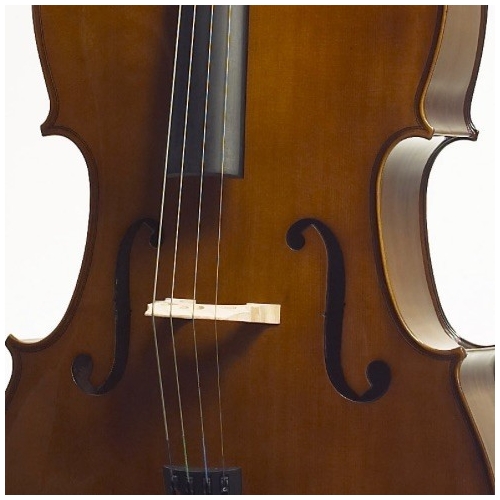 Stentor Student II Cello Outfit