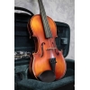 Primavera 200 Antiqued Violin Outfit