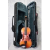 Primavera 200 Antiqued Violin Outfit