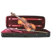 Primavera 200 Antiqued Violin Outfit