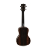 Kala KA-EBY-C ebony series concert Ukulele