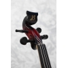 Bridge Aquila EV4 Electric Violin in black/red