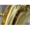Yanagisawa AWO1 'Professional' Alto Saxophone