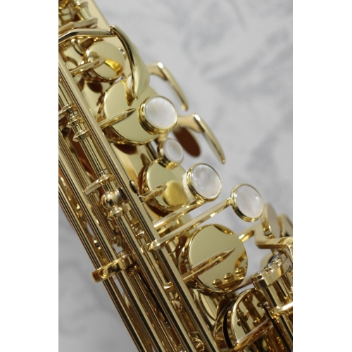 Yanagisawa AWO1 'Professional' Alto Saxophone