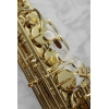 Yanagisawa AWO1 'Professional' Alto Saxophone