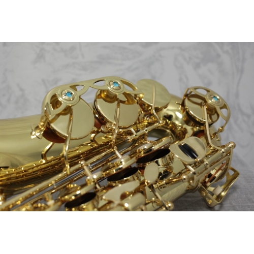 Yanagisawa AWO1 'Professional' Alto Saxophone