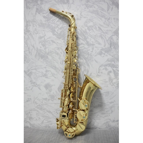 Yanagisawa AWO1 'Professional' Alto Saxophone