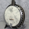 Barnes & Mullins BJ300G The Perfect 5-string Banjo
