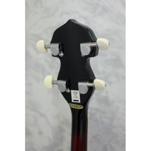 Barnes & Mullins BJ300G The Perfect 5-string Banjo