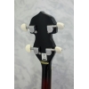 Barnes & Mullins BJ300G The Perfect 5-string Banjo