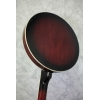 Barnes & Mullins BJ300G The Perfect 5-string Banjo