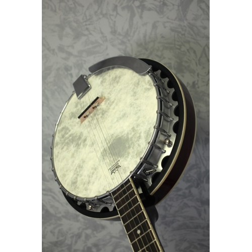 Barnes & Mullins BJ300G The Perfect 5-string Banjo