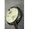 Barnes & Mullins BJ300G The Perfect 5-string Banjo