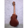 Baton Rouge V2-CCE Cutaway Concert Electro Ukulele