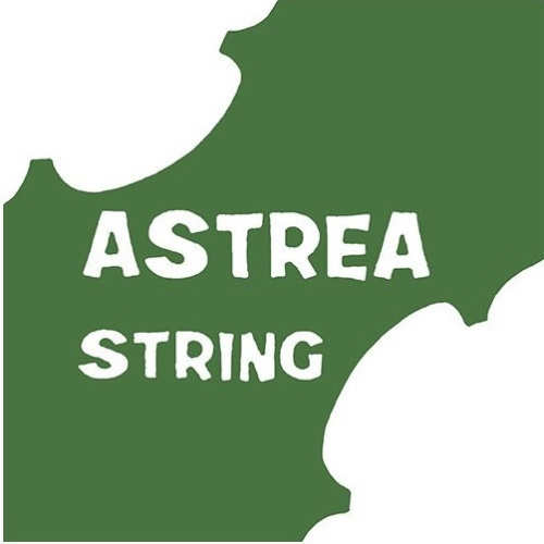 Astrea Violin Strings