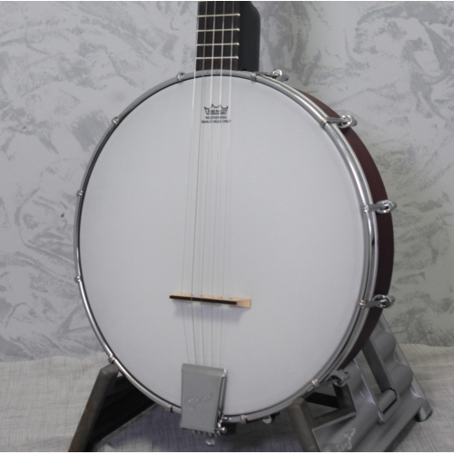 Ozark 2102G Open Back Banjo