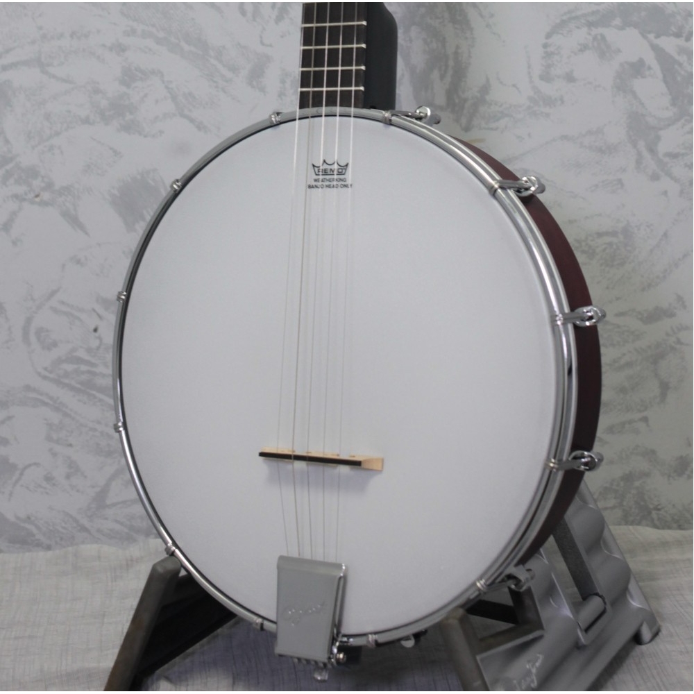 Ozark 2102G Open Back Banjo