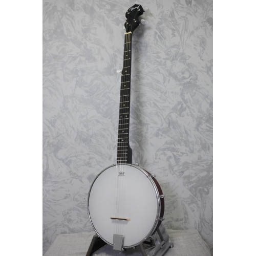 Ozark 2102G Open Back Banjo