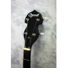 Ozark 2102G Open Back Banjo