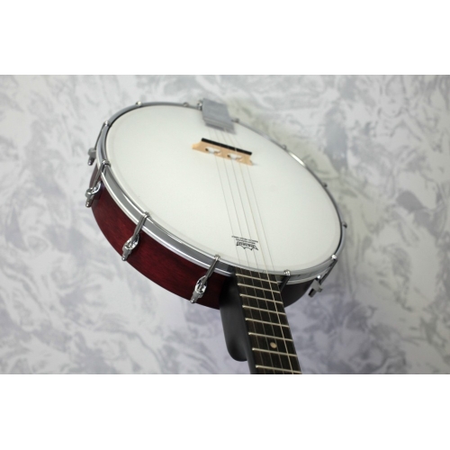 Ozark 2102G Open Back Banjo