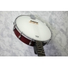 Ozark 2102G Open Back Banjo