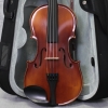 Gewa Allegro Violin Outfit