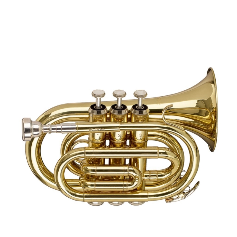 Stagg TR245S  Pocket Trumpet Outfit