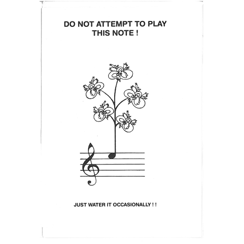 Do Not Attempt to Play this...