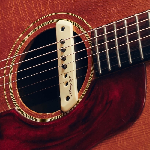 L. R. Baggs M1 Active Acoustic Guitar Soundhole Pickup