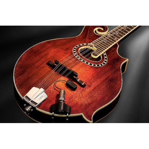 L. R. Baggs Radius Mandolin...